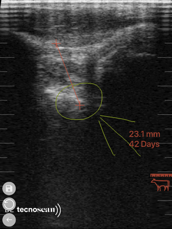 Screenshot #6 pour Tecnoscan Connect