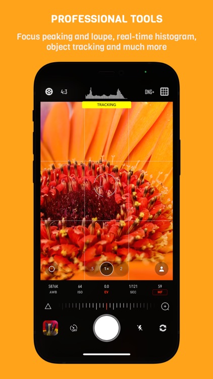 Chromatica camera screenshot-1