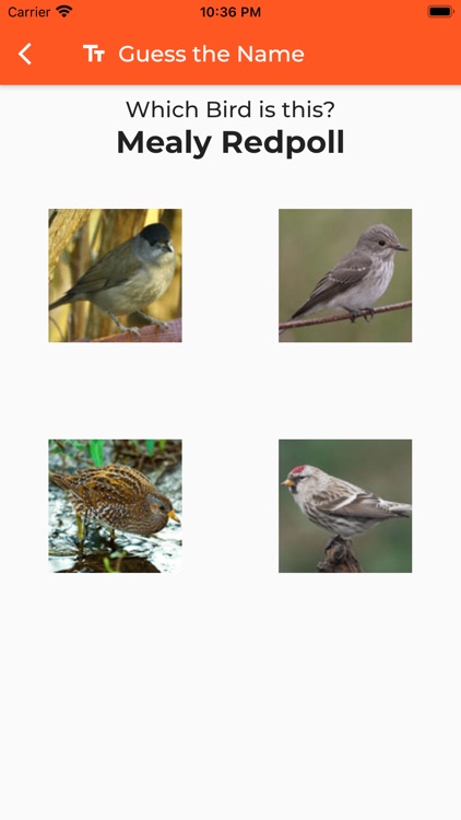 UK Birds Sounds Pro screenshot-5