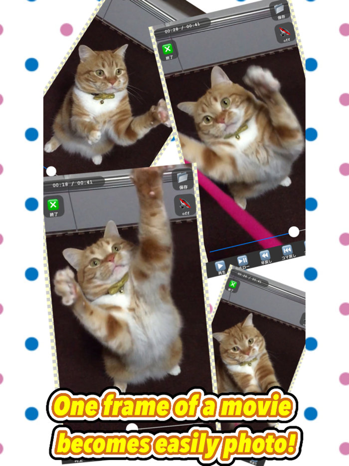 Movie andgtandgt Photo LITE