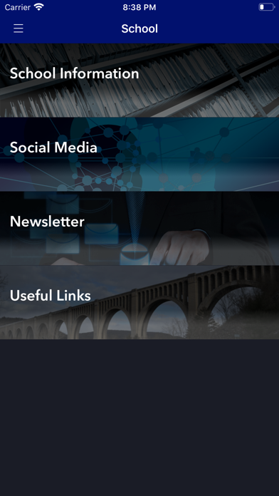 International School Of Dublin Screenshot