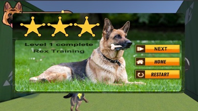 K9 Police Dog Training Game Screenshot