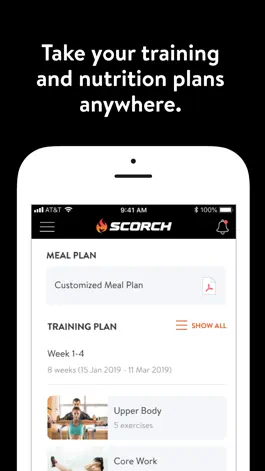 Game screenshot Scorch apk