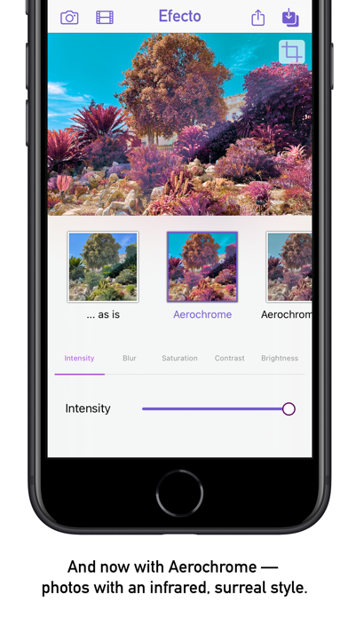 Efecto — hand-crafted filters Screenshot