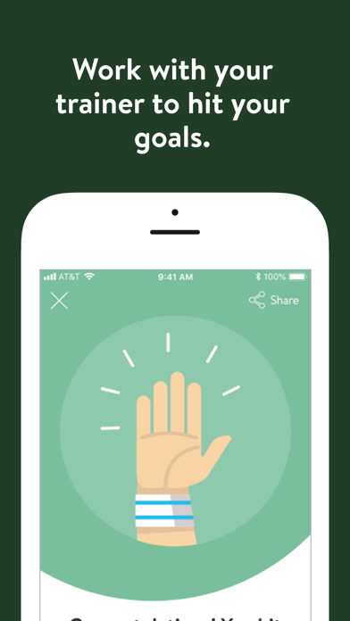 Fifth Element Wellness Screenshot