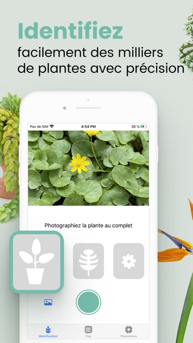 Screenshot #1 pour Plant ID Match - Reconnaitre