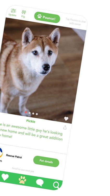 Pounce: It's a Pawesome match