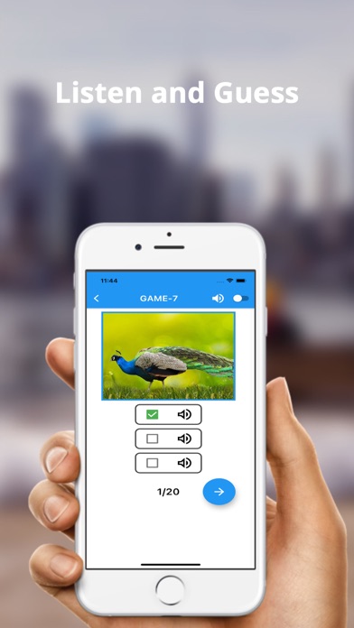 English Vocabulary-Flashcards Screenshot