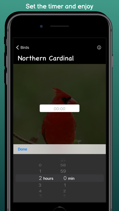 Bird Sounds - Pure Nature Screenshot