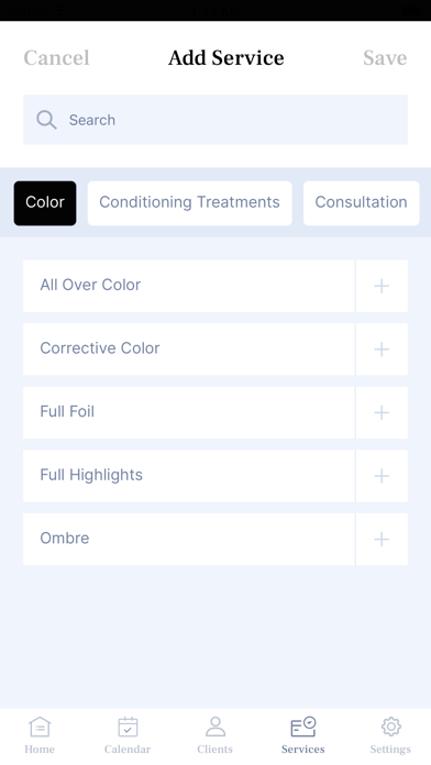 Salon Works Screenshot