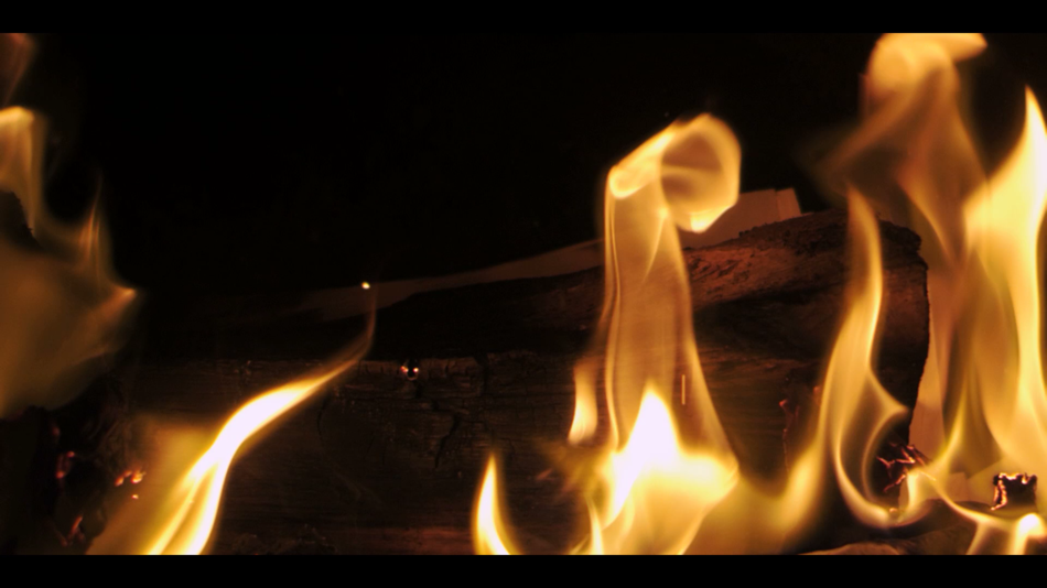 BIG Fireplace: Video Wallpaper - 1.2 - (iOS)