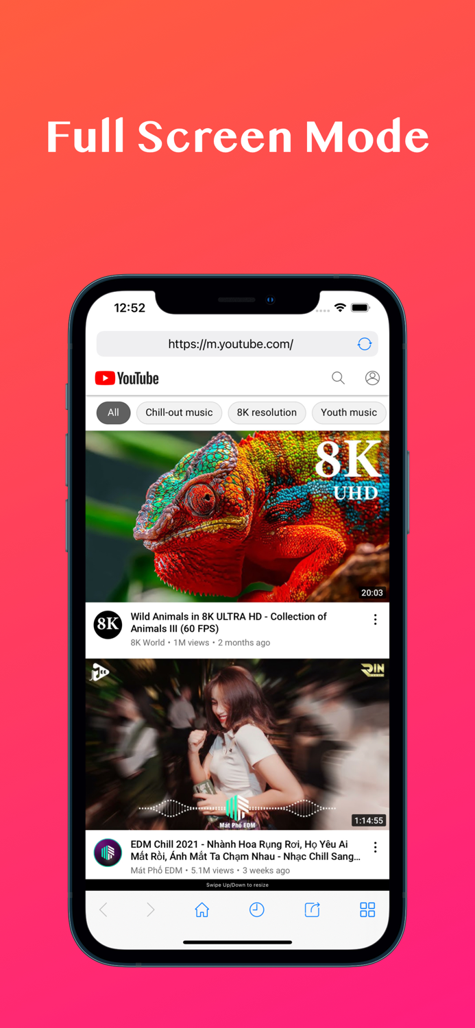 Split Screen Dual Window View