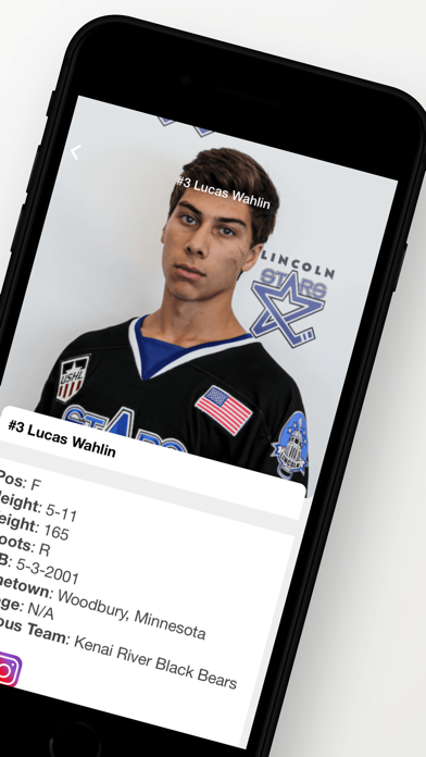 Lincoln Stars Hockey Team Screenshot