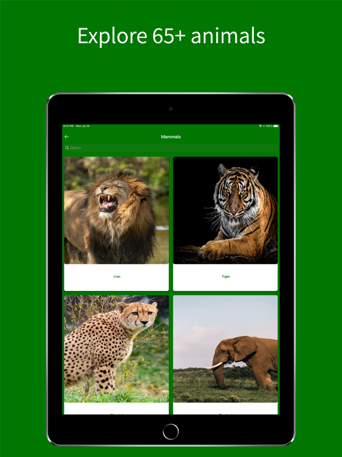 Virtual Jungle Safari