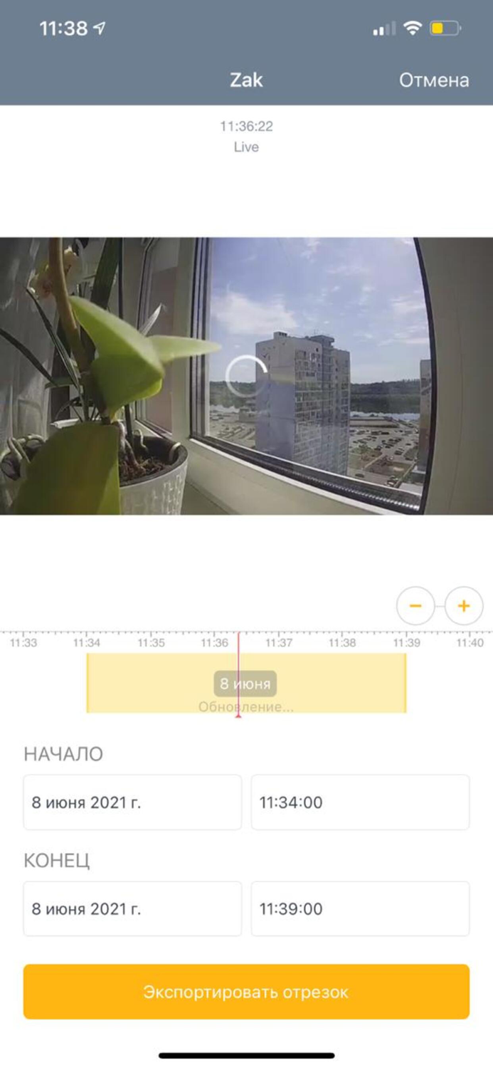 Видео билайн для бизнеса