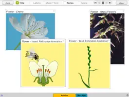 Game screenshot Plants apk