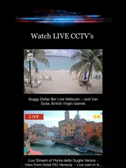 cctv live camera & player айпад изображения 2
