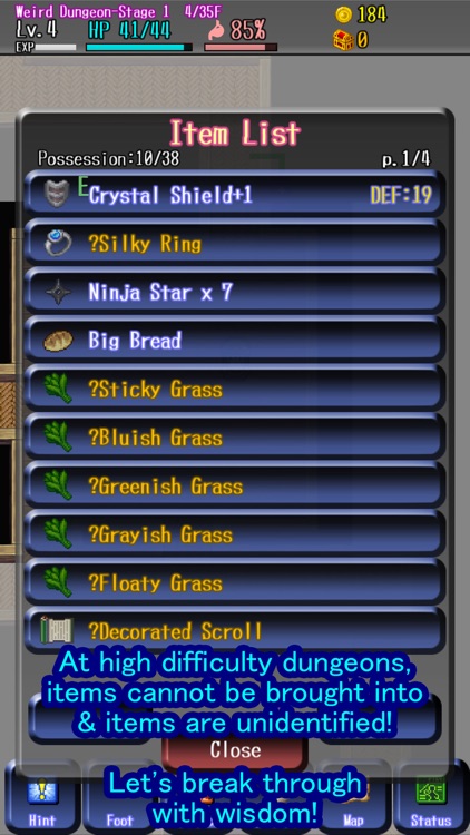 Eternal Rogue: Dungeon RPG screenshot-3