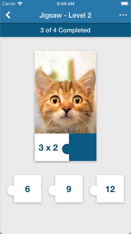 Brainematics - Brains in Math