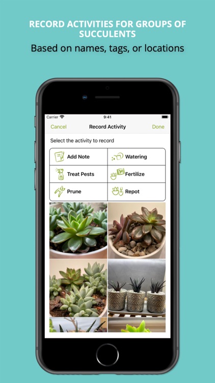 Succulent Tracker (Legacy) screenshot-4