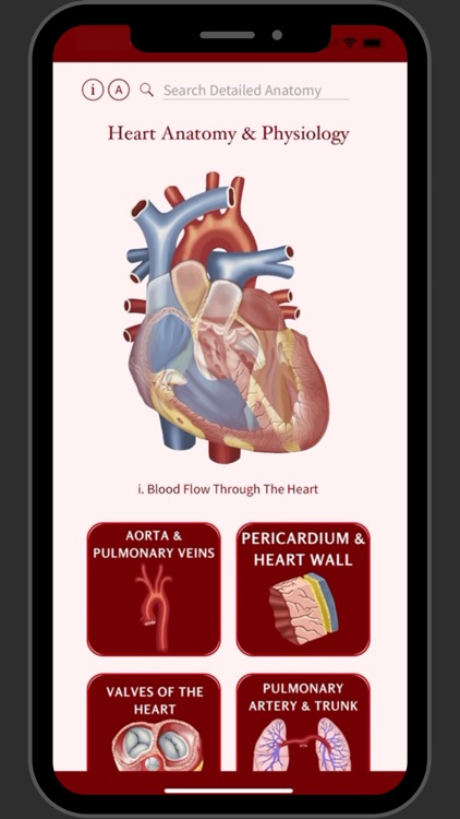 Heart Anatomy and Physiology