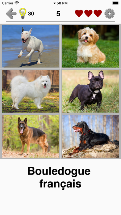 Screenshot #1 pour Chiens: Photo-quiz et la liste
