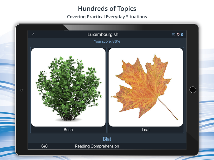 Bluebird Learn Luxembourgish