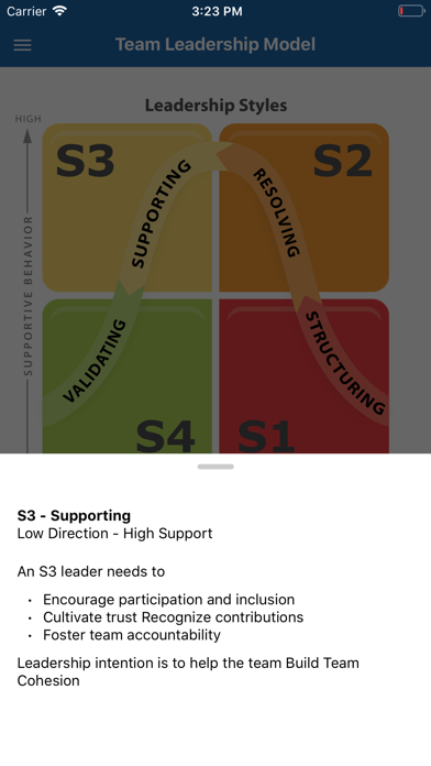 Team Leadership Screenshot