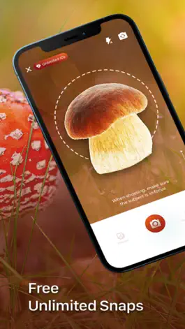 Game screenshot Mushroom Identification ++ apk