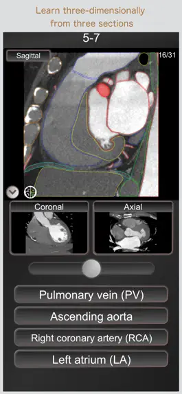 Game screenshot CT PassQuiz Heart / MRI hack