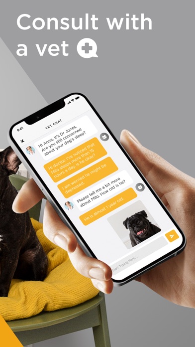 Petcube - Pet Cam & Online Vet Screenshot