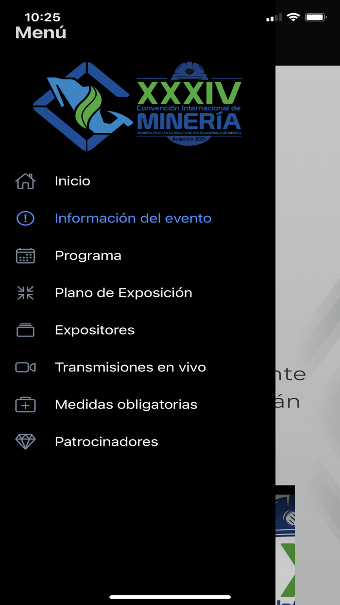 Convención de Minería