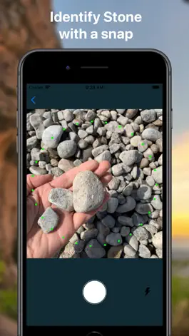 Game screenshot Rock Identifier Stone Finder apk