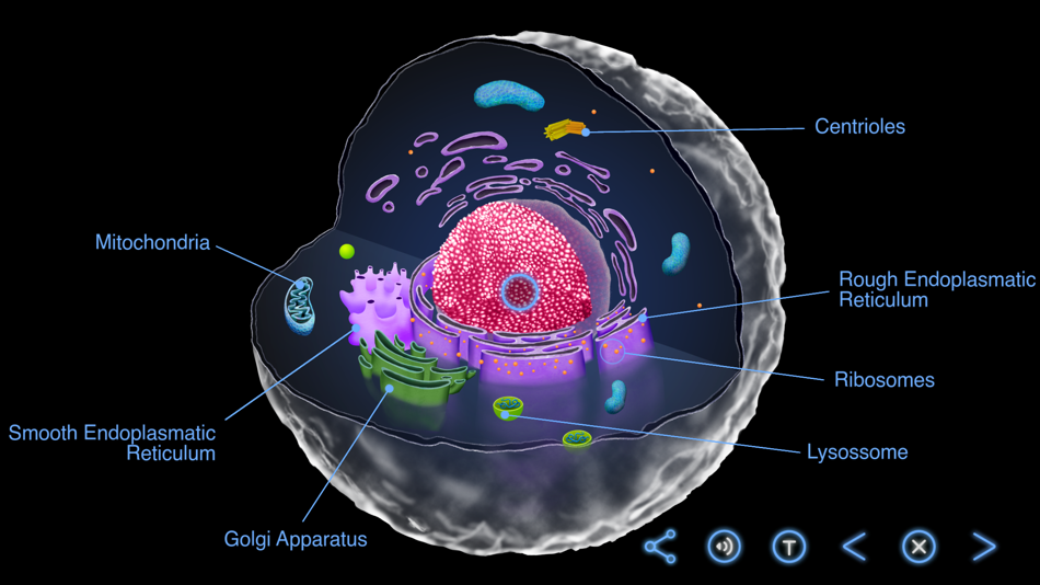 #6. Earth and Science (macOS) 由: Landka