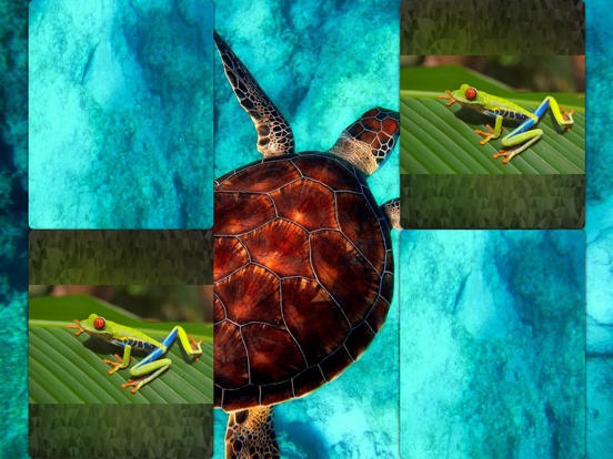 Memoria Fotografica iPad screenshot 4 - Entertainment app