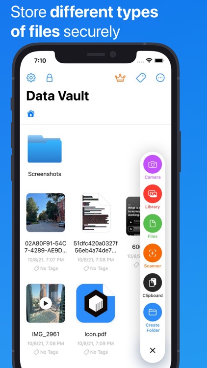 Secure Data Vault
