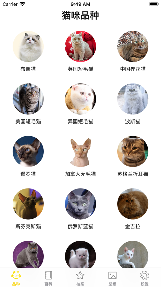 猫猫生活圈 - 1.1 - (iOS)