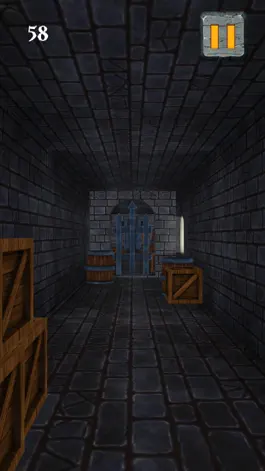 Game screenshot Castle Escape - Dungeon Runner apk