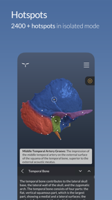 Head Atlas screenshot
