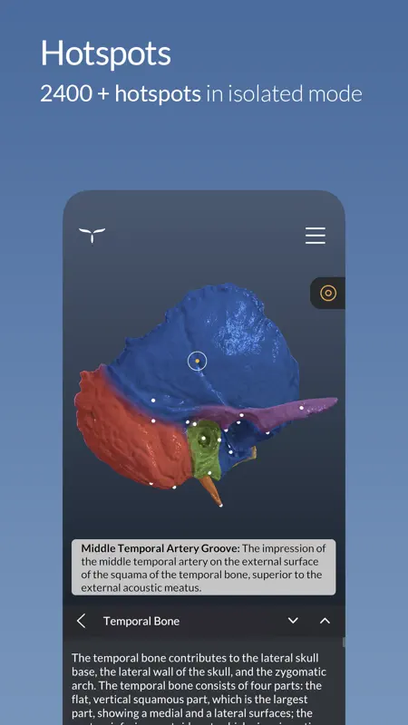 Head Atlas screenshot 2 of 6