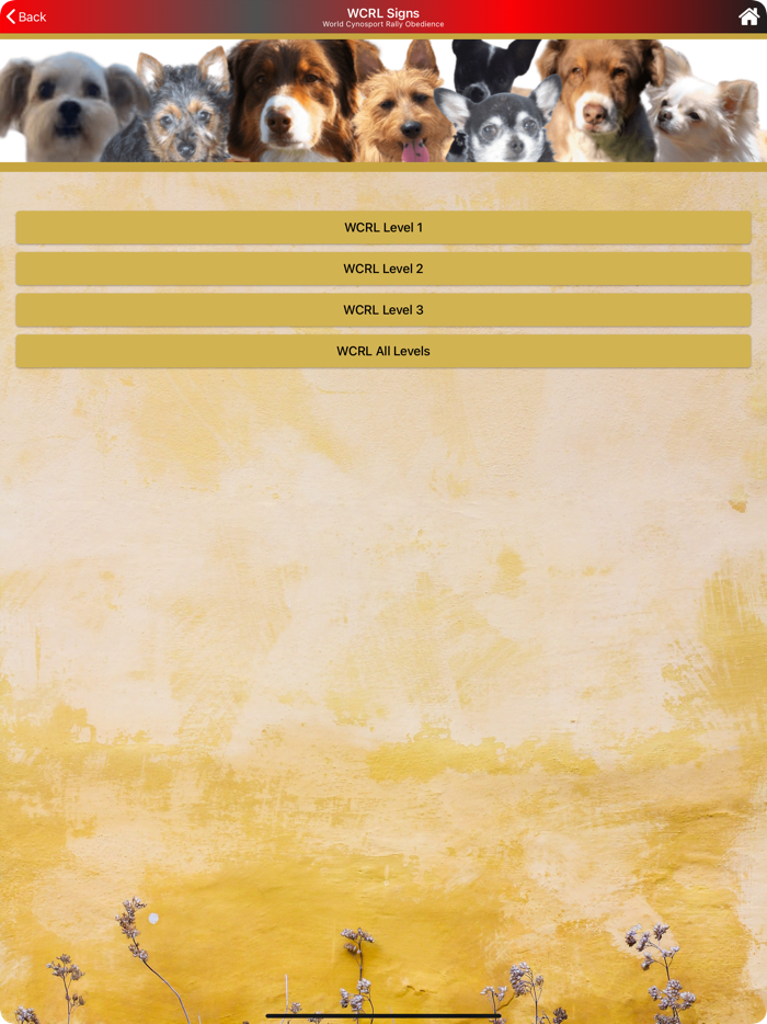 World CynoSport Rally Obedienc