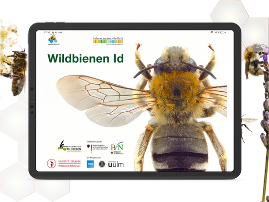 Wildbienen Id BienABestのおすすめ画像1