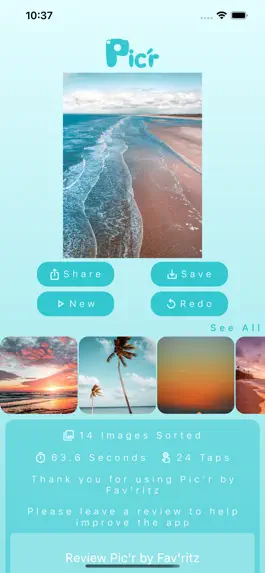 Game screenshot Pic'r: Photo Sorting Tool hack