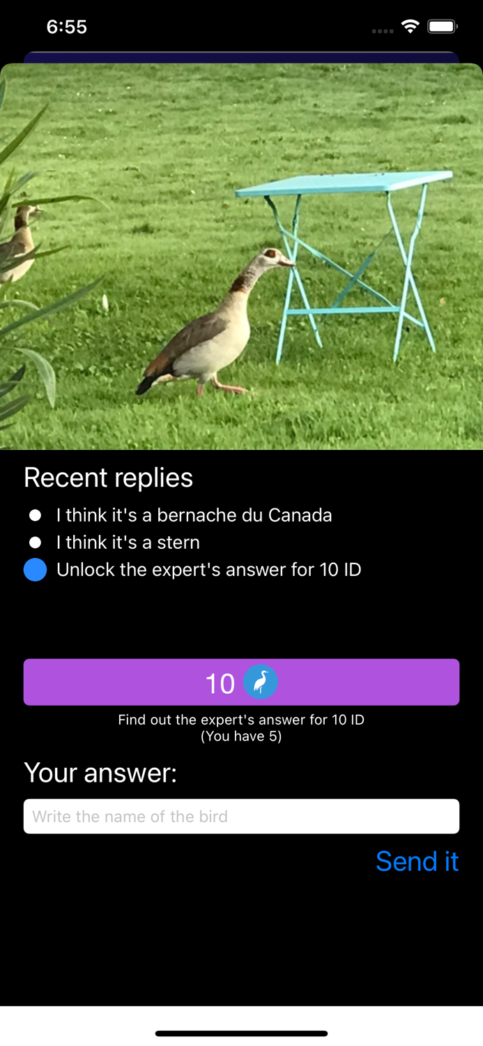 Bird ID - Bird Identification