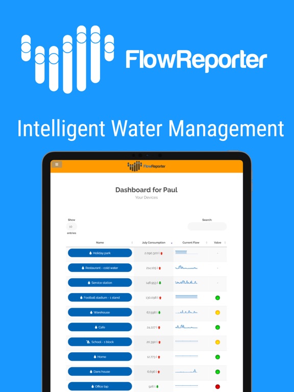 Screenshot #4 pour FlowReporter