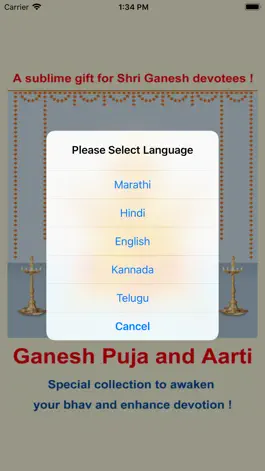 Game screenshot Ganesh Puja and Aarti mod apk