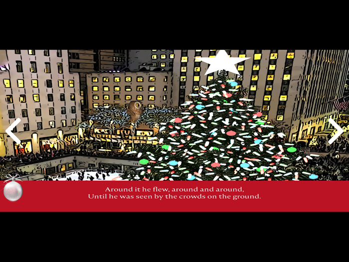 Rocky Owls Christmas Story