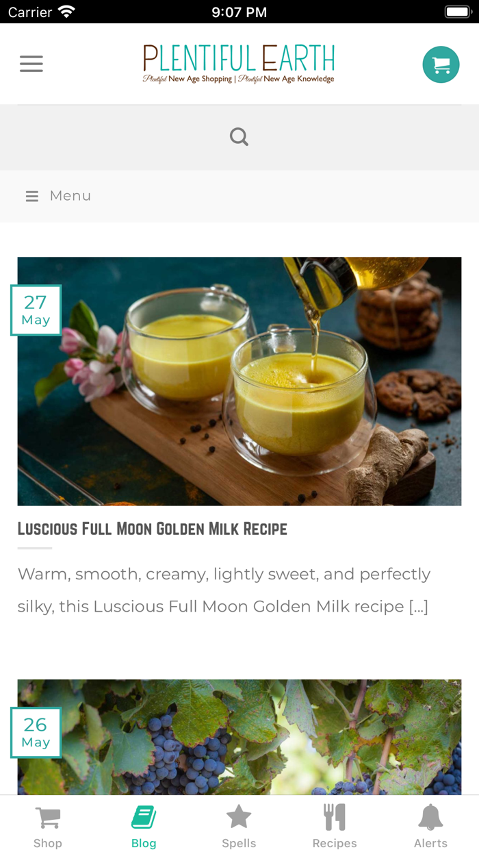 Plentiful Earth  Witch Store