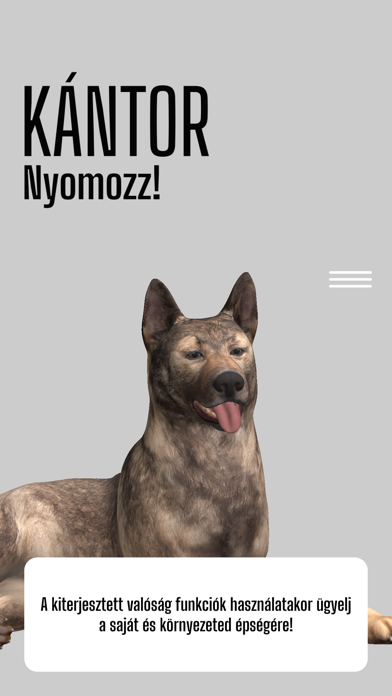 Kántor nyomozz! Screenshot