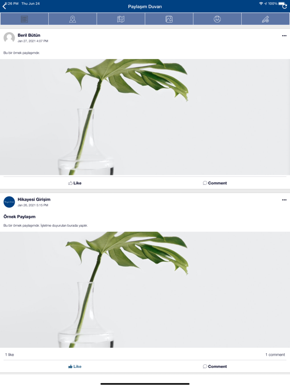Screenshot #5 pour Hikayesi Girişim